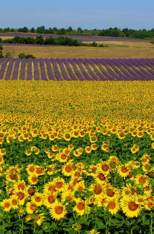 Les Terrasses De Valensole Acomodação com café da manhã Exterior foto