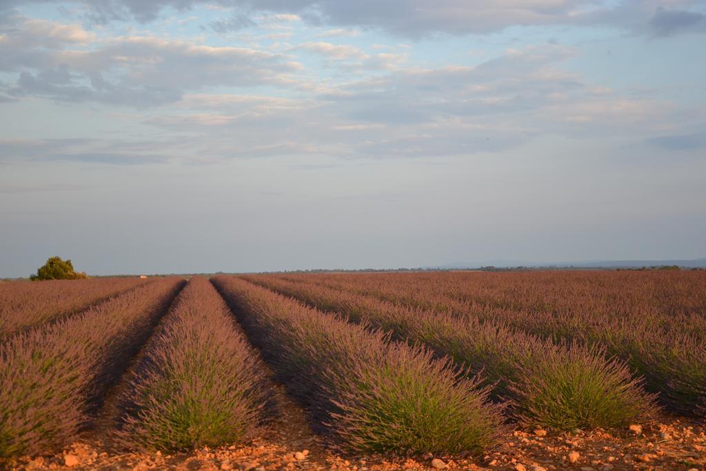 Les Terrasses De Valensole Acomodação com café da manhã Exterior foto