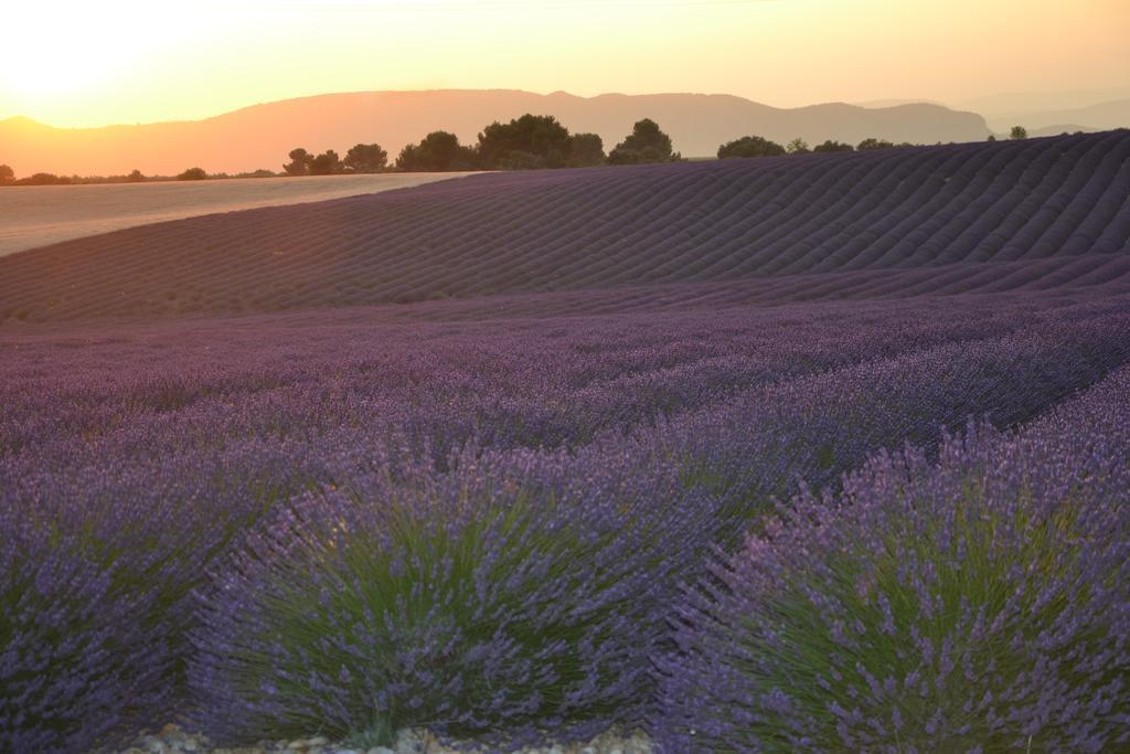 Les Terrasses De Valensole Acomodação com café da manhã Exterior foto