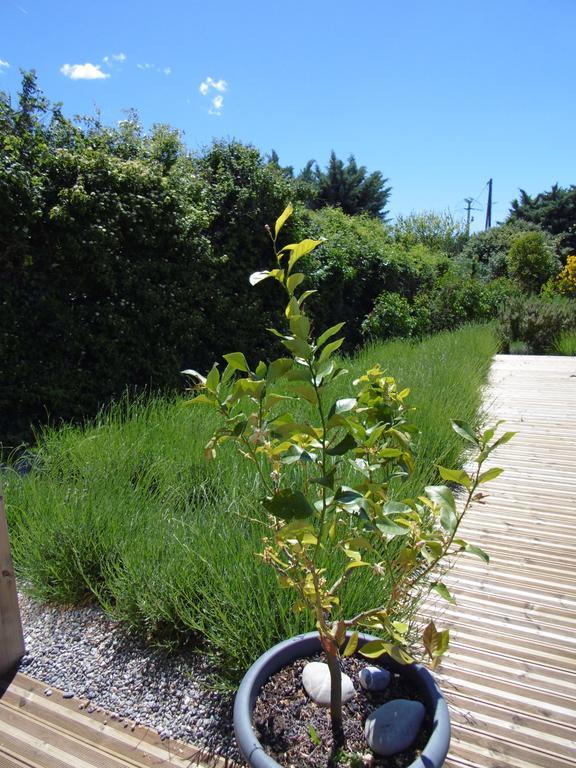 Les Terrasses De Valensole Acomodação com café da manhã Exterior foto