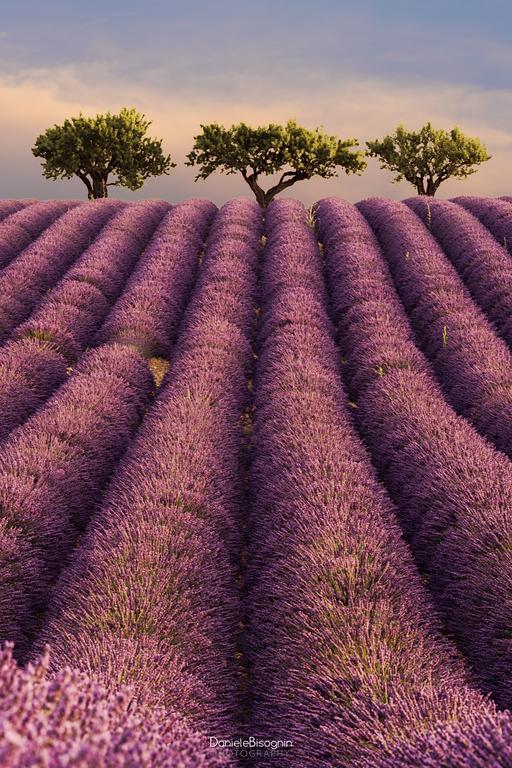 Les Terrasses De Valensole Acomodação com café da manhã Exterior foto