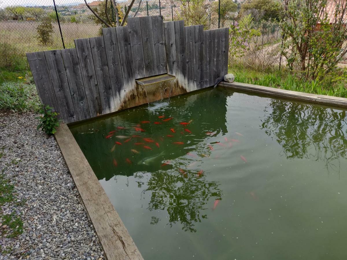 Les Terrasses De Valensole Acomodação com café da manhã Exterior foto